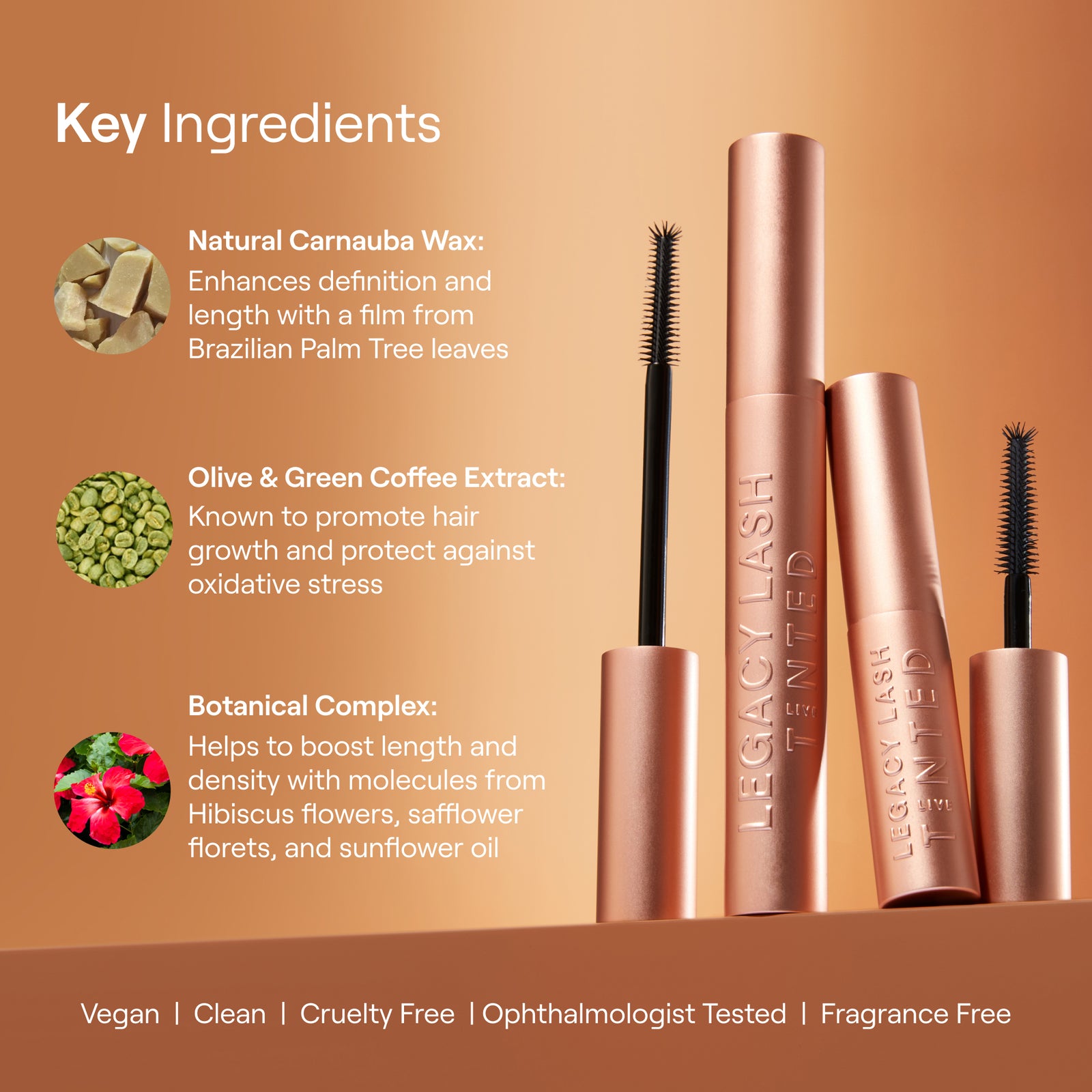 LEGACY Lash Volumizing & Lengthening Mascara